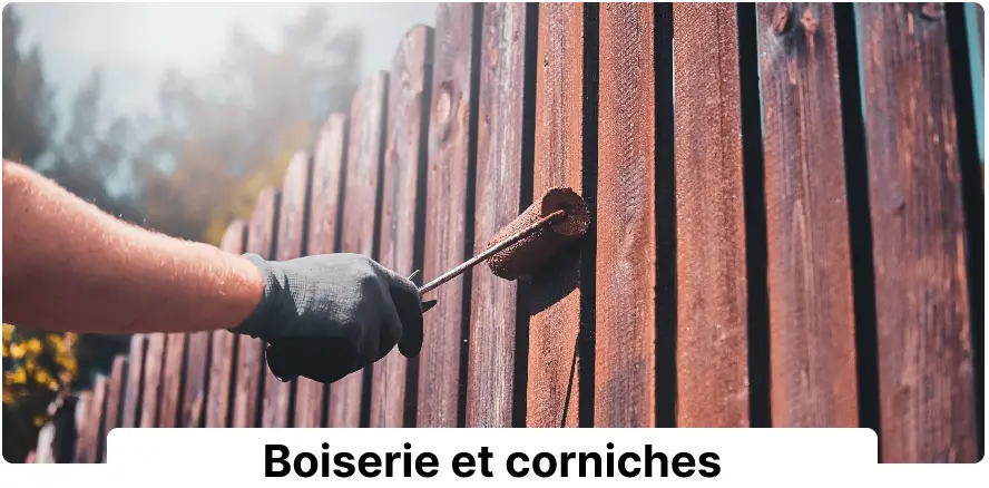 Boiserie et corniches