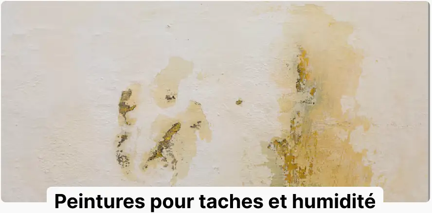 Peinture pour taches et humidité